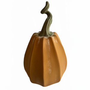 Calabaza otoñal naranja
