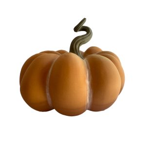 Calabaza otoñal naranja