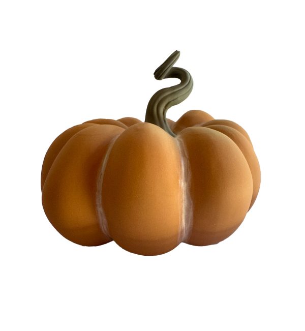 Calabaza otoñal naranja