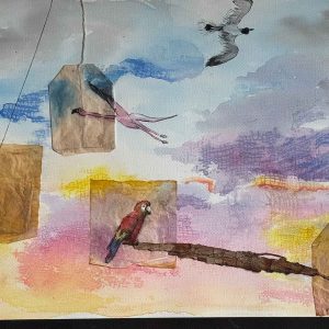 Libertad y posibilidades ll